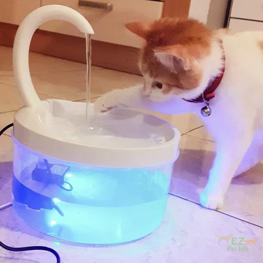 Cat Automatic Swan Design Fountain