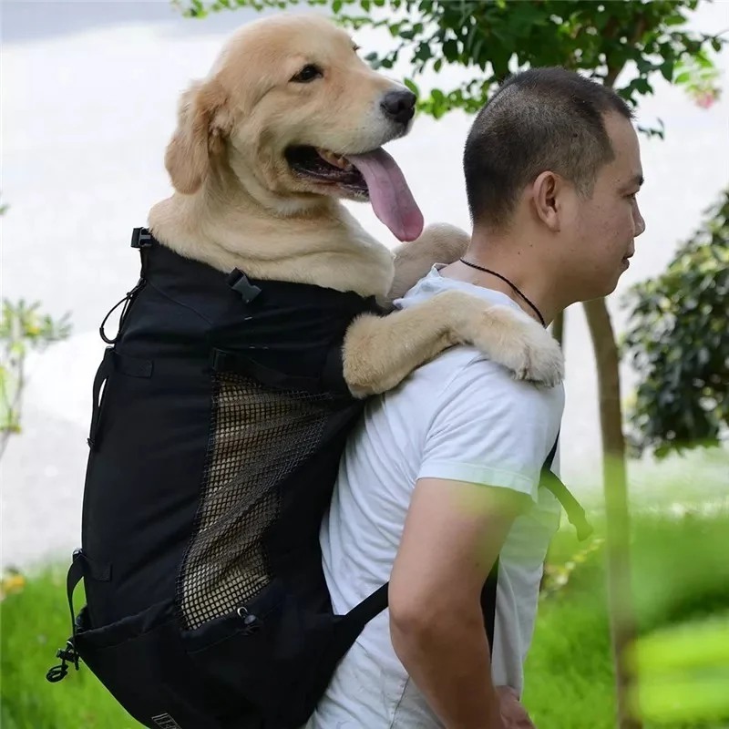 dog backpack