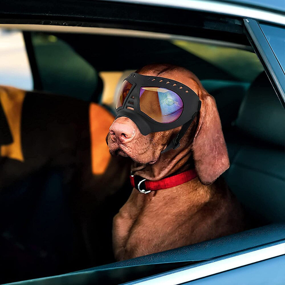 Dog Goggles Large & Small Breed
