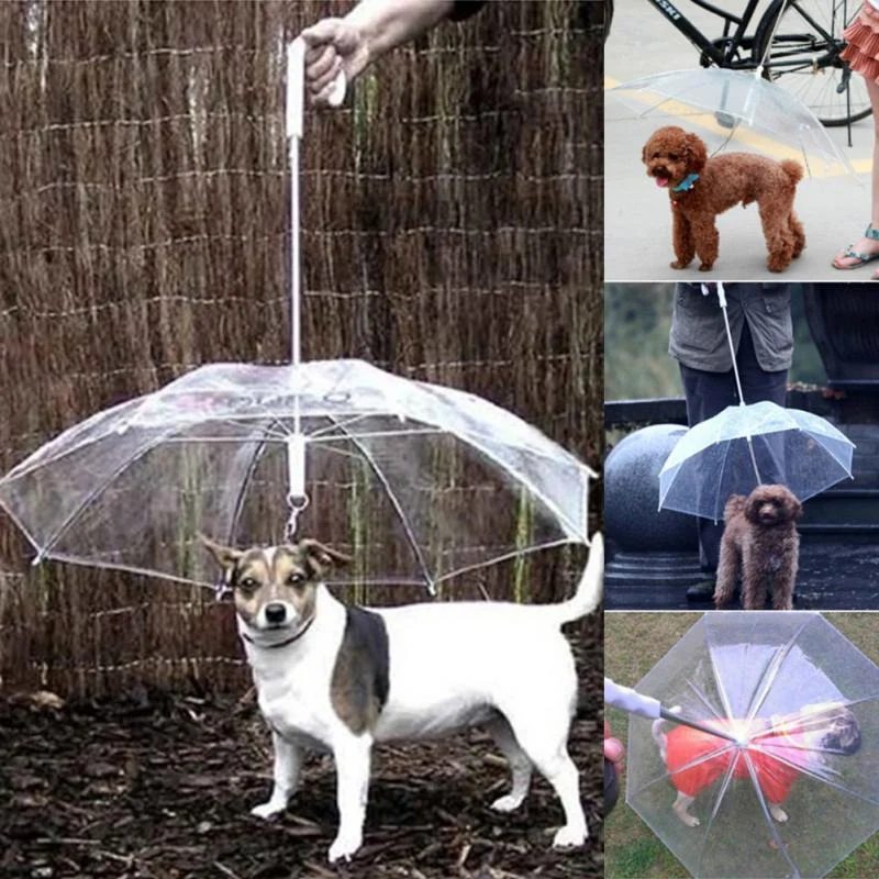 transparent dog umbrella