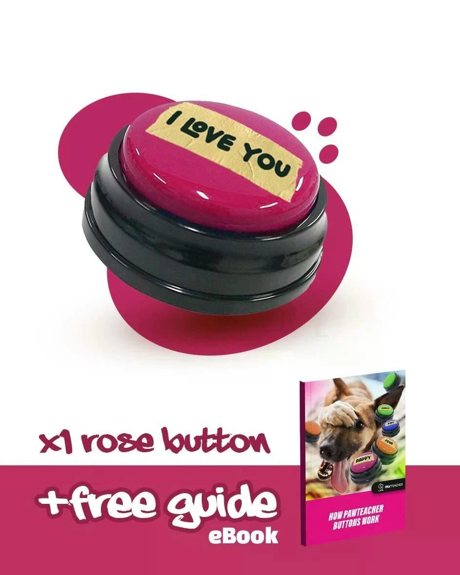 Interactive Dog Personalized Sound Buttons