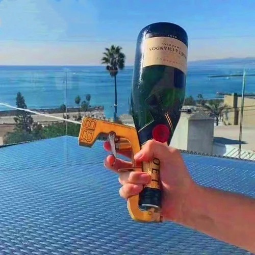 Champagne Gun Sprayer