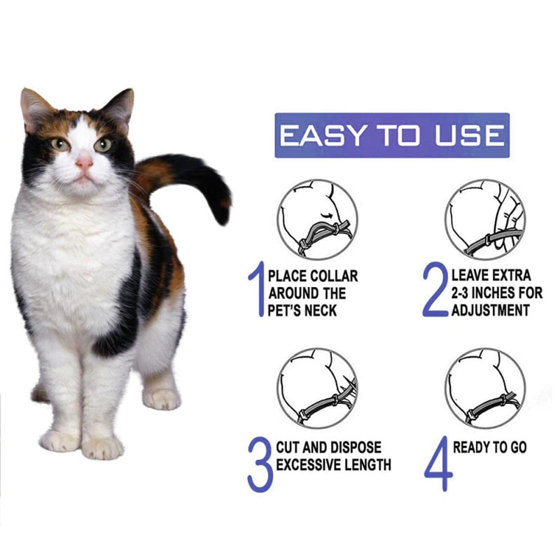 cat calming collar