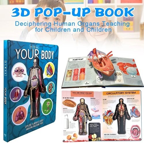 Human Anatomy 3D Picture Book