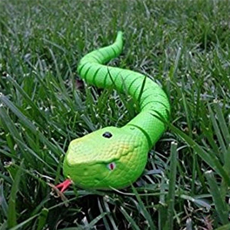 Remote control snake toy for cats