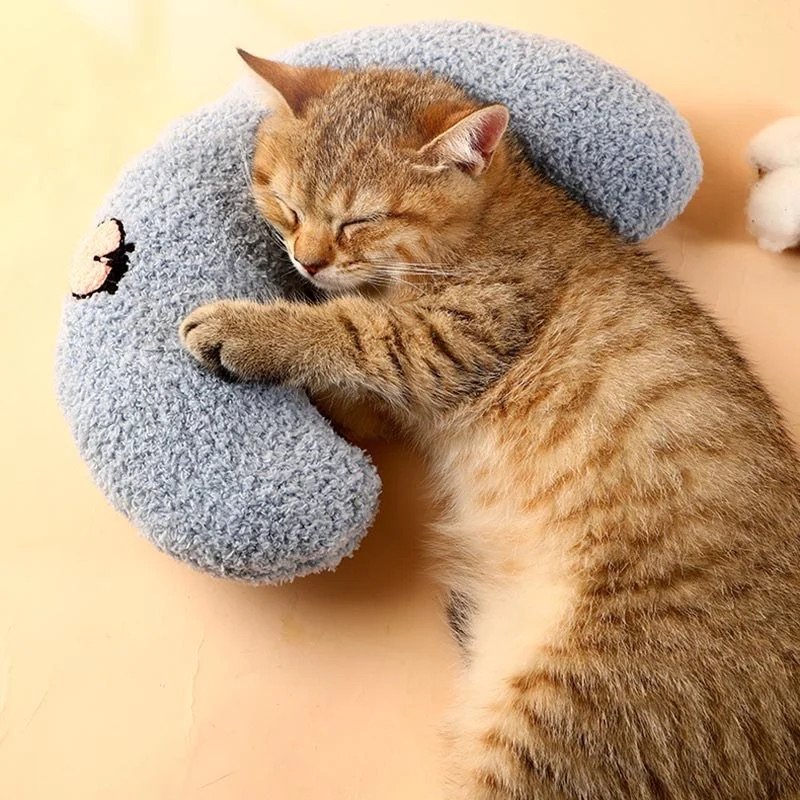 Cozy Pillow for Cat