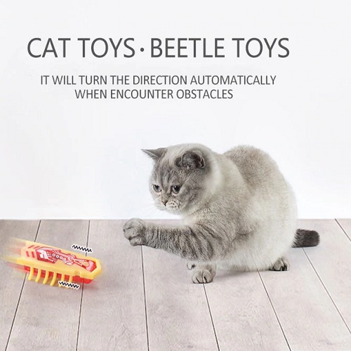 Amazing Robot Bug Toy For Cats