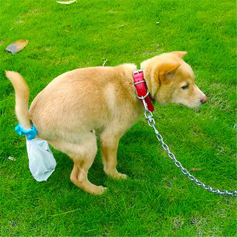 Hands free dog poop collector