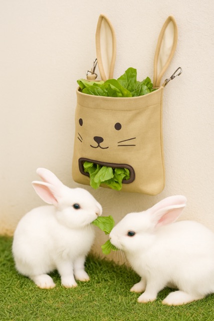 Rabbit grass bag K008