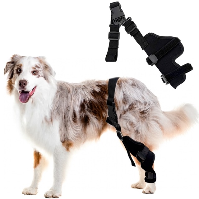 Dog leg cover K031