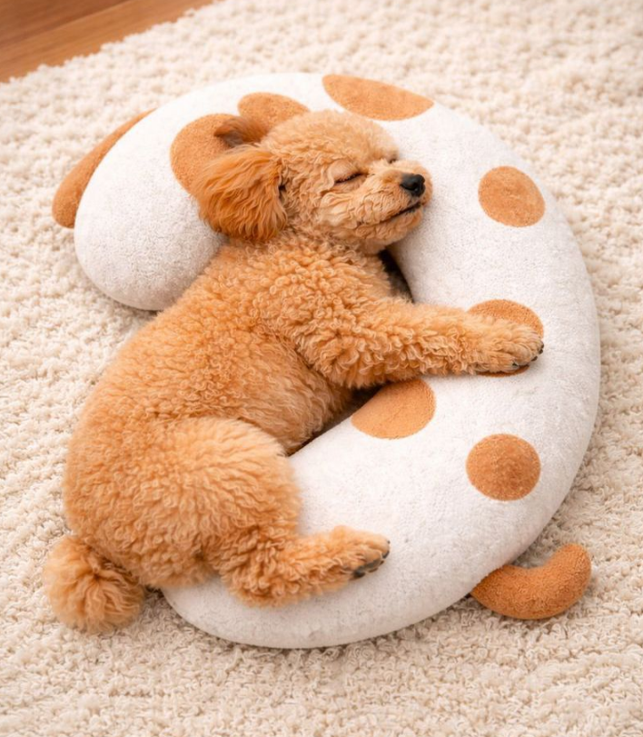 Dog bed pillow